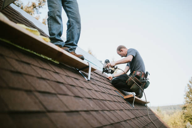 Best Chimney Flashing Repair  in Twain Harte, CA